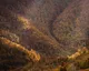Rutas de otoño en Asturias: seis bosques para ver el cambio de color