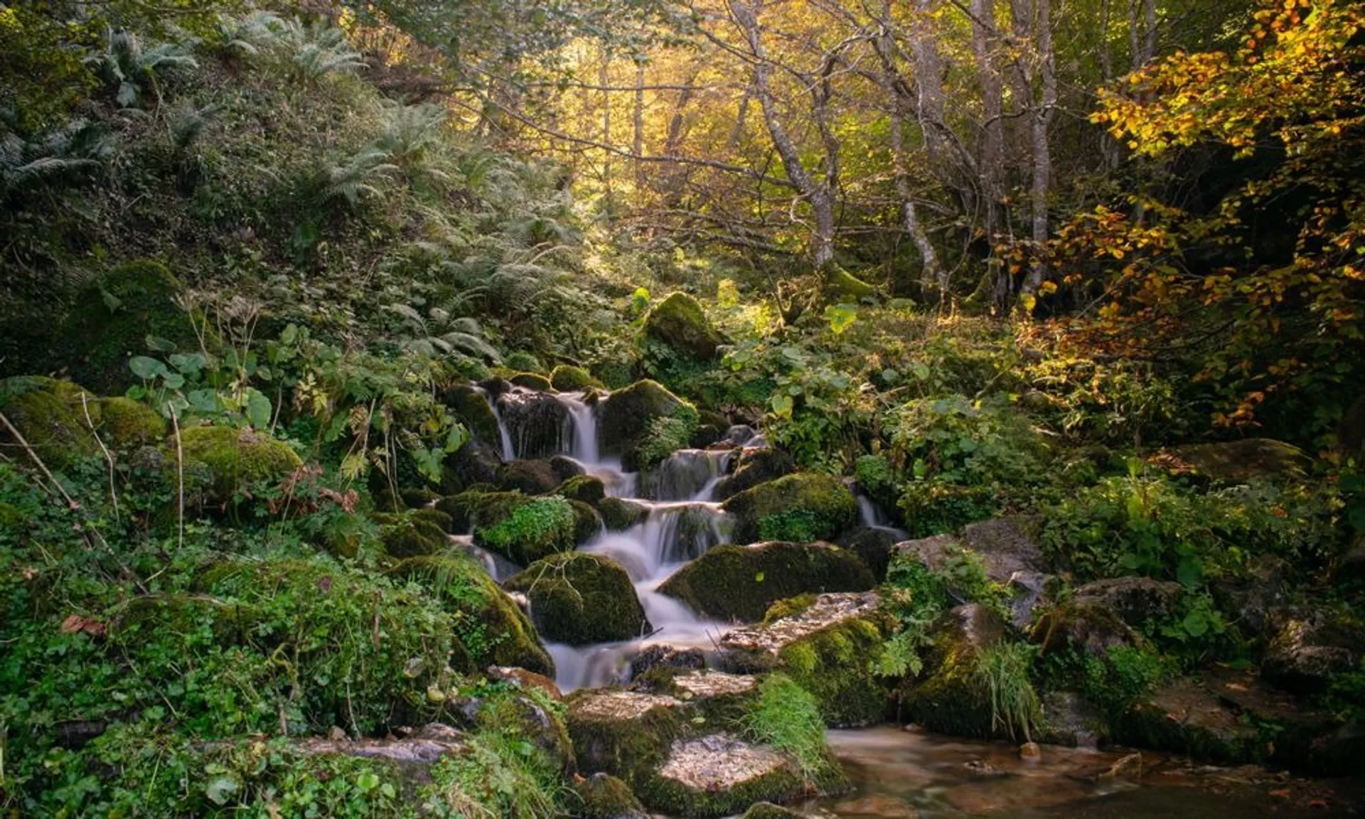 Paisaje del Redes Natural Park, Asturias - vista panorámica