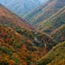 Fuentes del Narcea, Degaña e Ibias