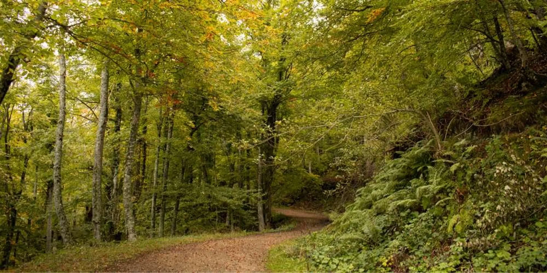 Paisaje del Las Ubiñas - La Mesa, Asturias - vista panorámica