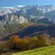 Cantabrian Chamois