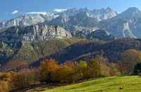 Cantabrian Chamois