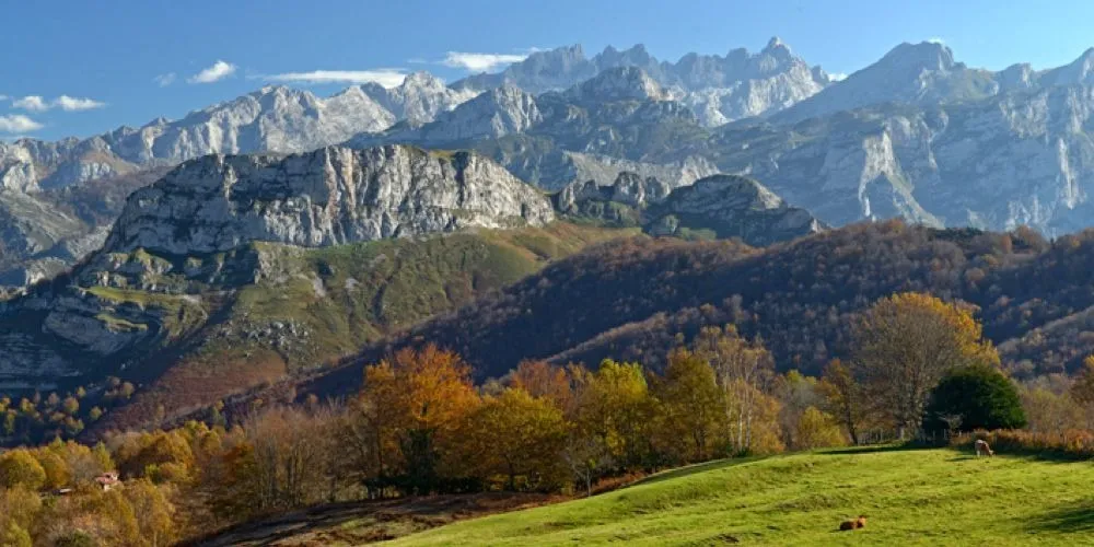 Parque Natural de Ponga