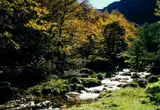 Río y bosque en Caso (Redes)