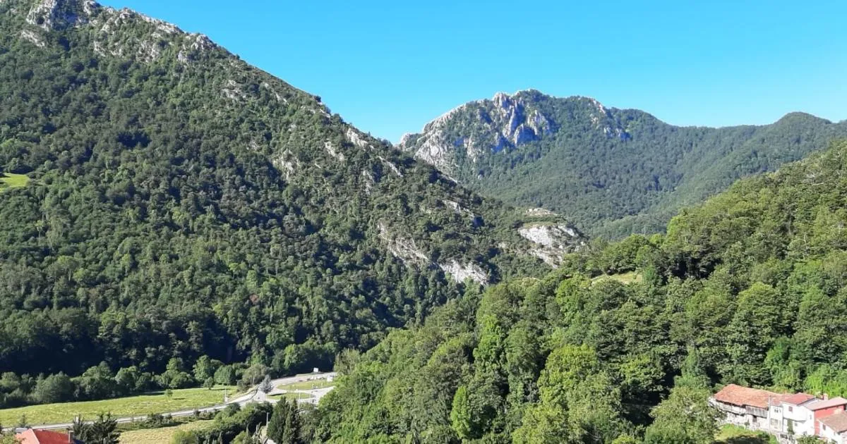 El Mirador de Redes