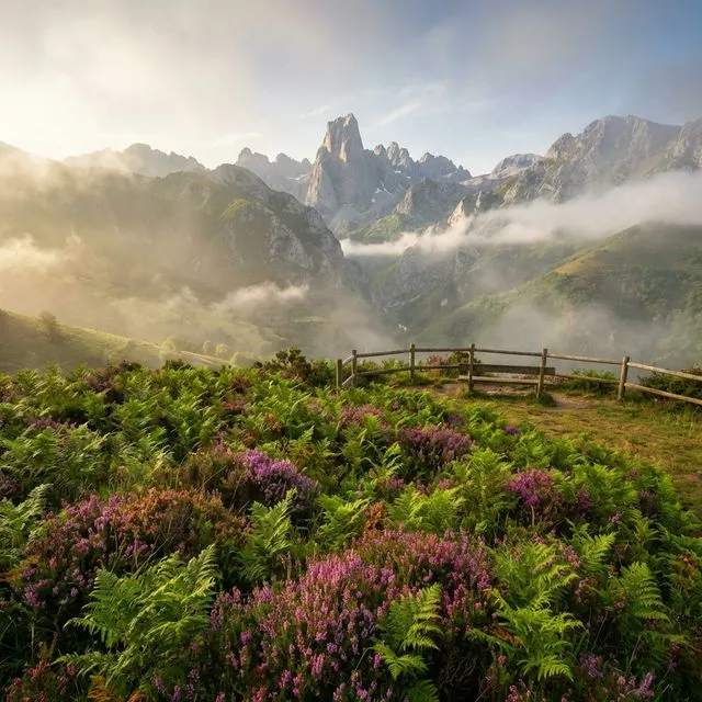 Mirador de Les Bedules