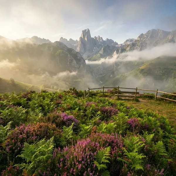 Les Bedules viewpoint