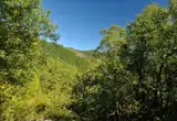 Bosque de Muniellos