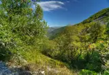 Bosque de Muniellos