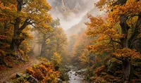 Bosque de Muniellos: Viaje al corazón de la naturaleza virgen