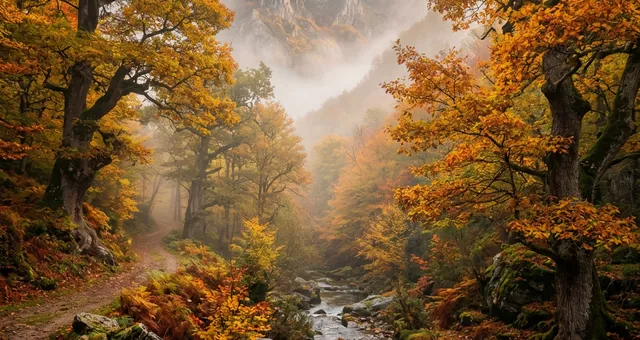 Bosque de Muniellos: Viaje al corazón de la naturaleza virgen