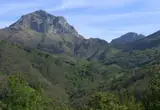 Pico Pierzu (Ponga)