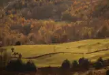 Reserva Natural Parcial de Peloño (Ponga)