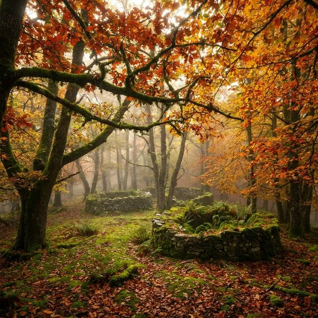 Moal Forest Route