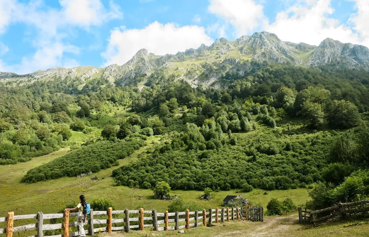 Ruta de Brañagallones