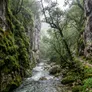 Foz de los Andamios