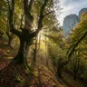 Los hayedos de Asturias: el bosque que cambia de alma con las estaciones