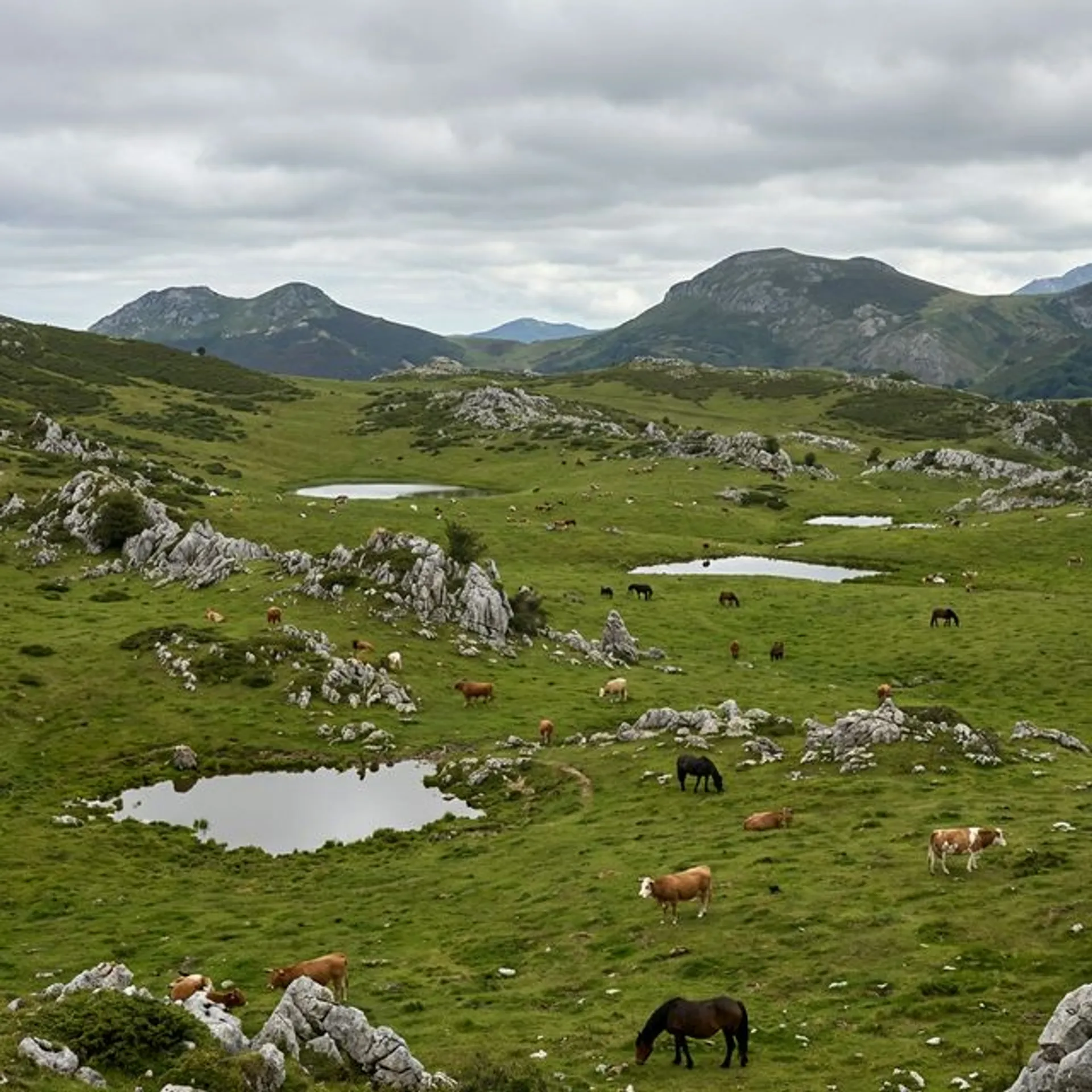 Ruta Ruta de los Puertos de Marabio - senderismo en Parque Natural, Asturias