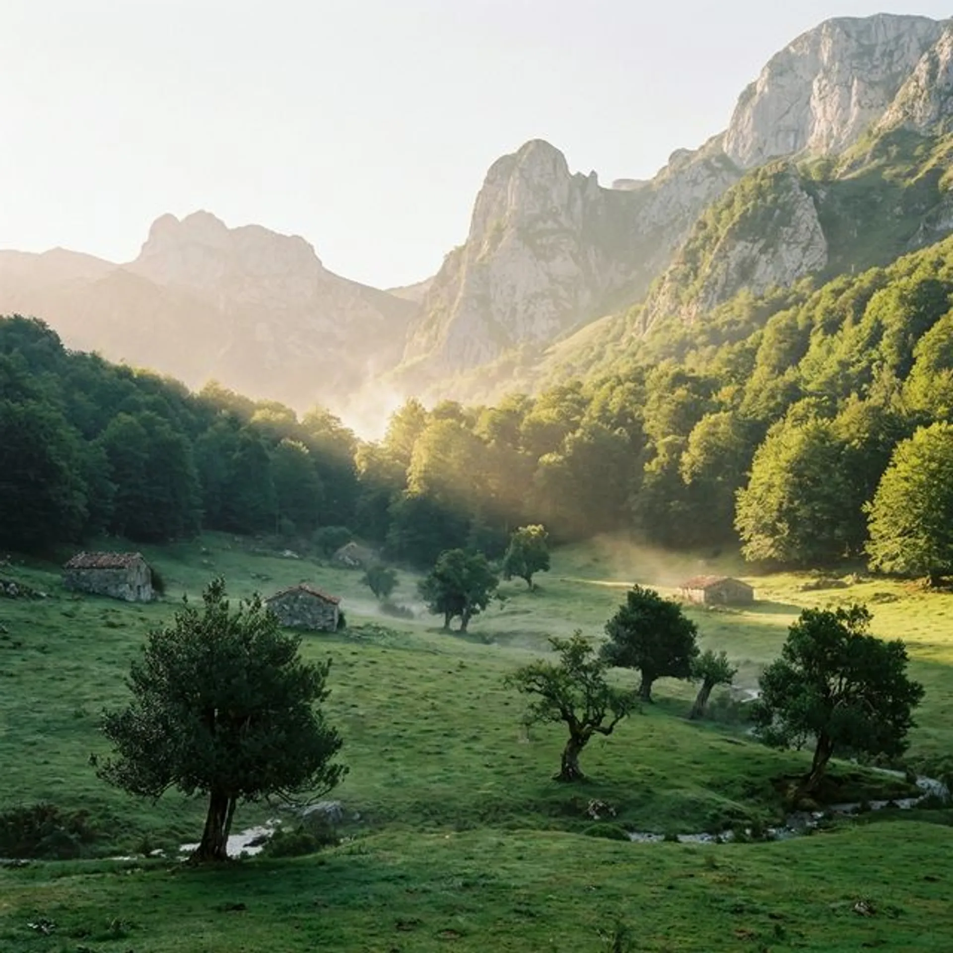 Ruta Route to the Vega de Pociellu - senderismo en Parque Natural, Asturias