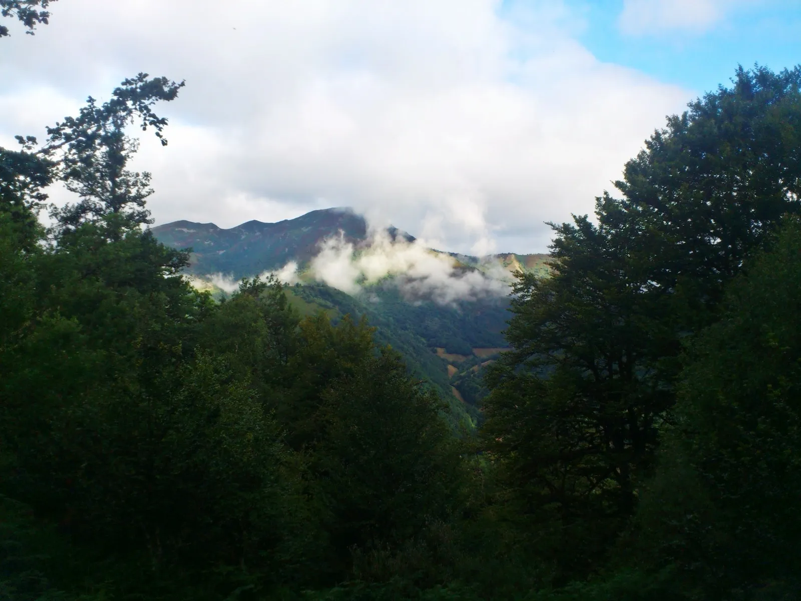 Ruta del Pomar de las Montañas