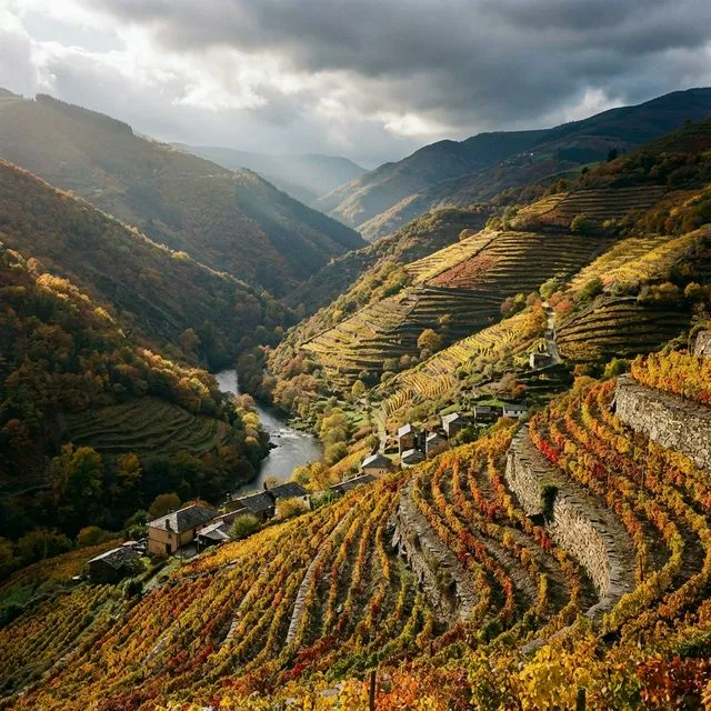 Viñedos Heroicos